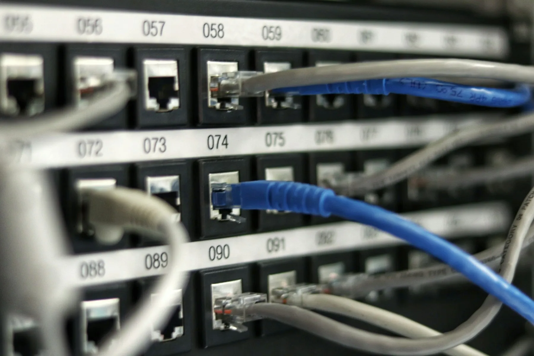 Network patch panel with blue ethernet cables